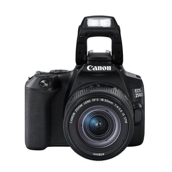 Canon EOS 250D With 18-55mm f/4-5.6 IS STM Lens - Image 2
